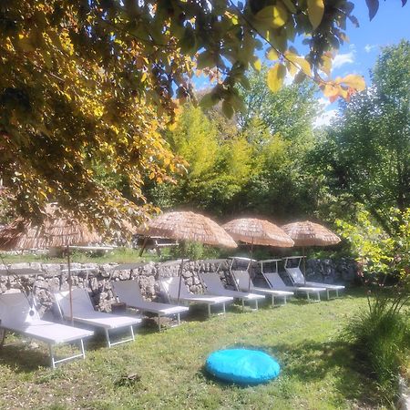 Domaine Des Petites Soeurs A 800M Du Centre Historique Avec 5200M2 De Parc Arbore Vence Esterno foto