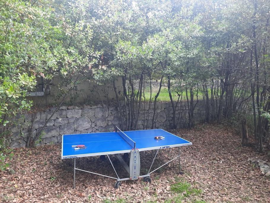 Domaine Des Petites Soeurs A 800M Du Centre Historique Avec 5200M2 De Parc Arbore Vence Esterno foto