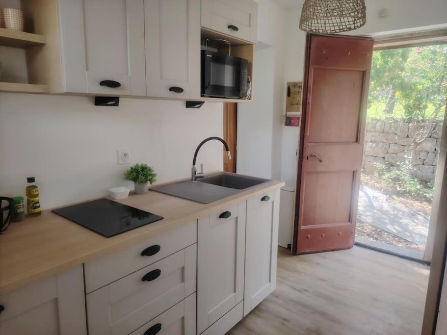 Domaine Des Petites Soeurs A 800M Du Centre Historique Avec 5200M2 De Parc Arbore Vence Esterno foto