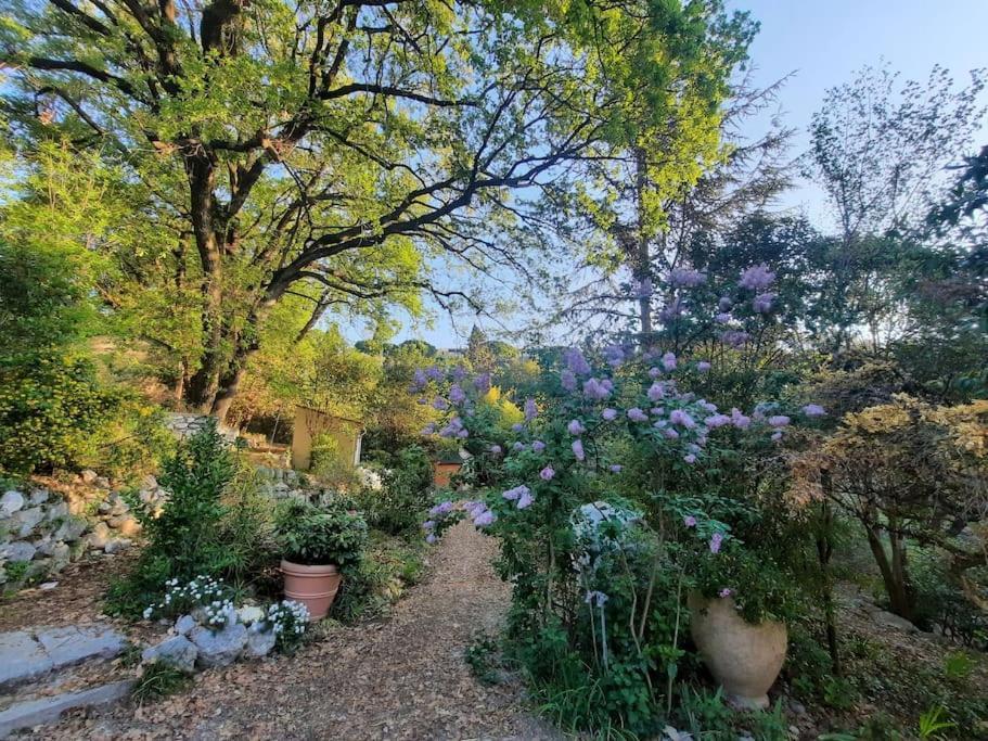Domaine Des Petites Soeurs A 800M Du Centre Historique Avec 5200M2 De Parc Arbore Vence Esterno foto