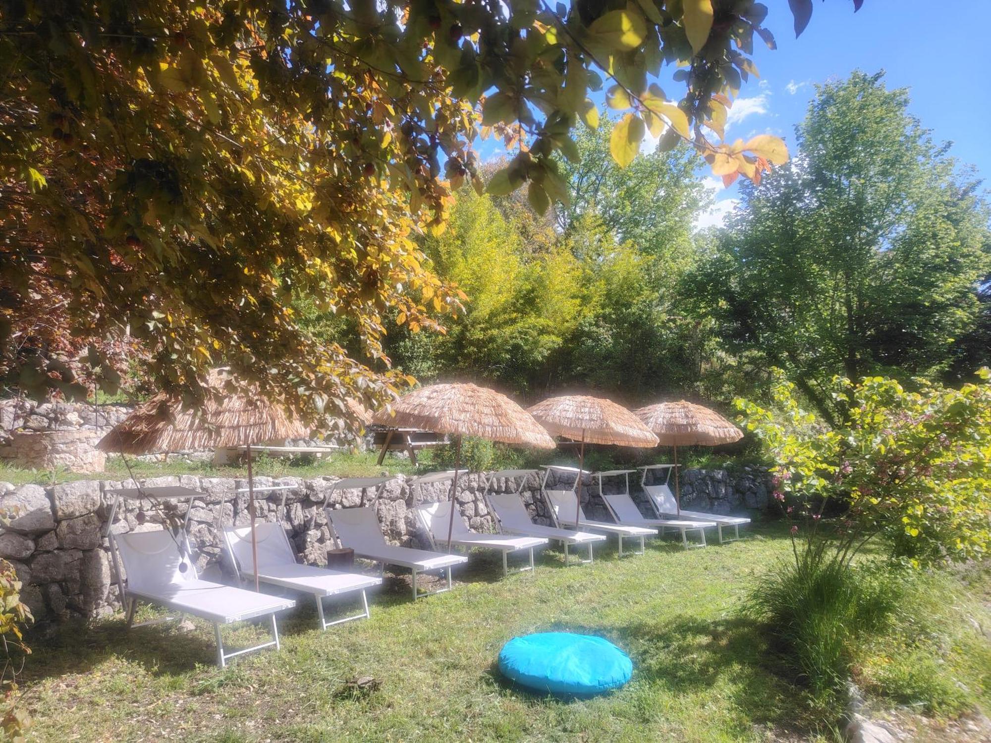 Domaine Des Petites Soeurs A 800M Du Centre Historique Avec 5200M2 De Parc Arbore Vence Esterno foto