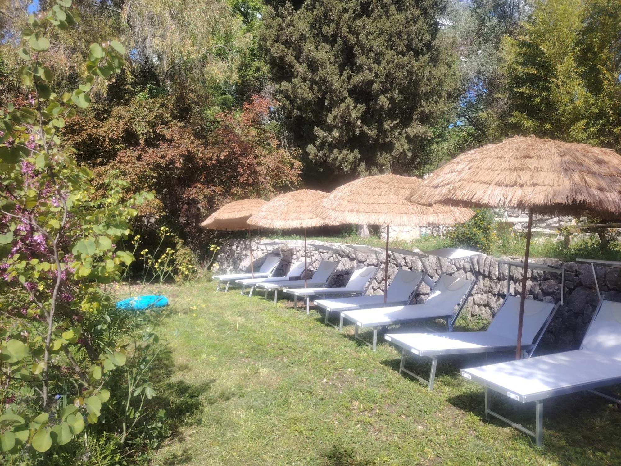 Domaine Des Petites Soeurs A 800M Du Centre Historique Avec 5200M2 De Parc Arbore Vence Esterno foto